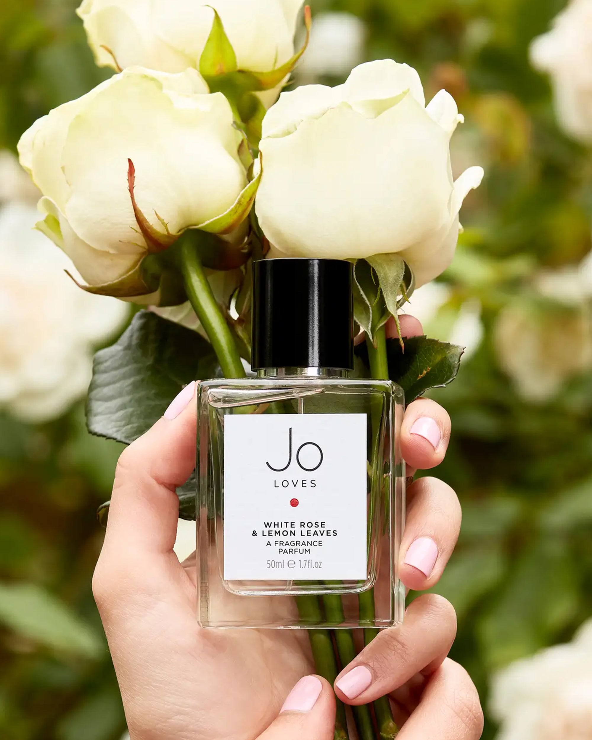 White Rose & Lemon Leaves - A Fragrance | Jo Loves
