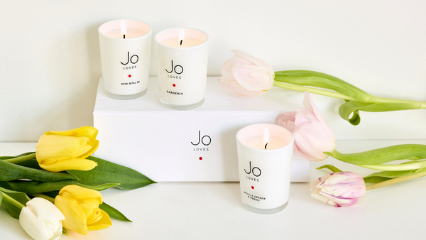 Orange Butterflies – Jo Loves