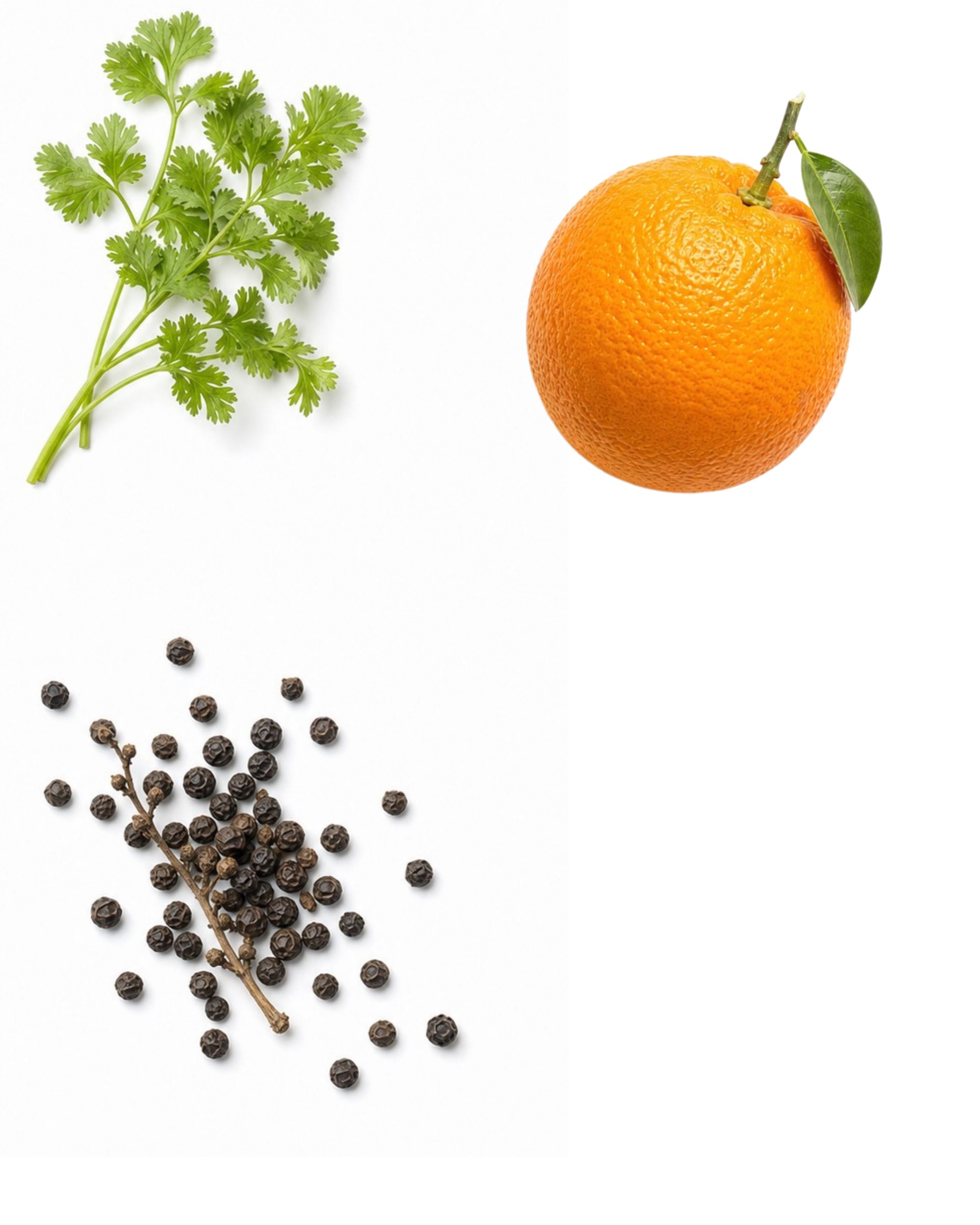 Green Orange & Coriander Fragrance Paintbrush™ (2x7ml)